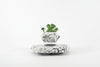 Levitating Desk Plant Pot