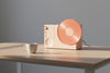 Bluetooth Mini Speaker