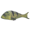 Toy Fish