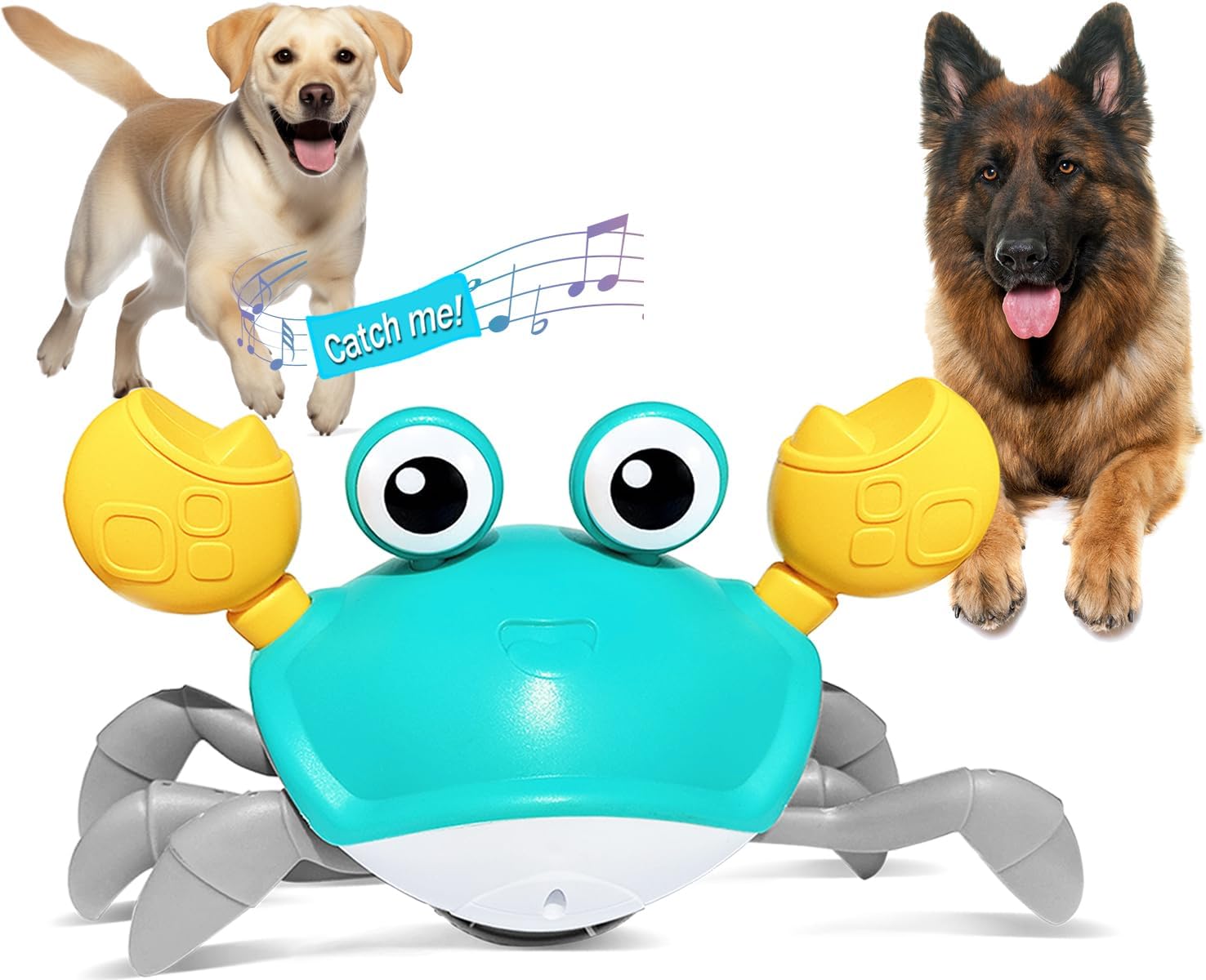 Escaping Crab Dog Toy