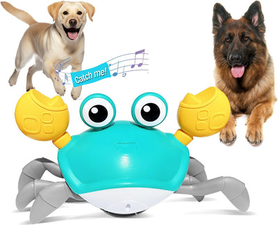 Escaping Crab Dog Toy