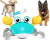 Escaping Crab Dog Toy